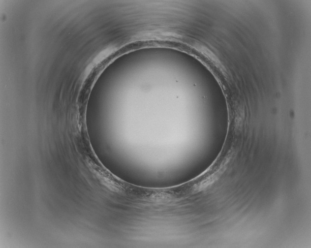 X0000073860974200608101246