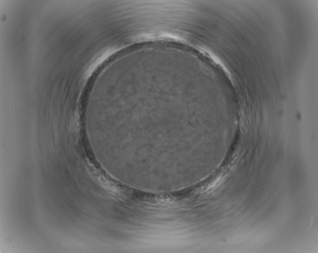 X0000073860975200608101246