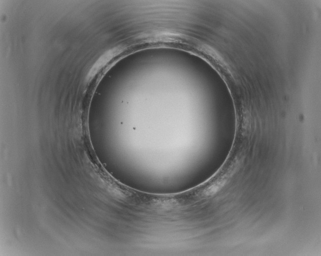 X0000073860978200608101246