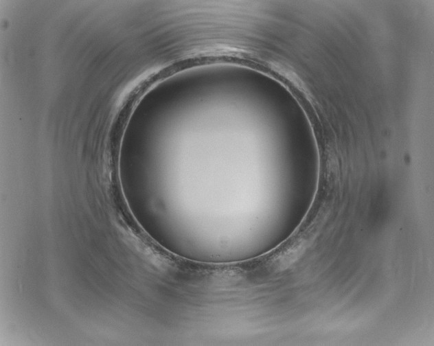 X0000073860979200608101246