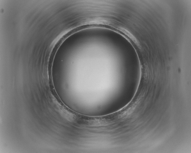 X0000073860980200608101246