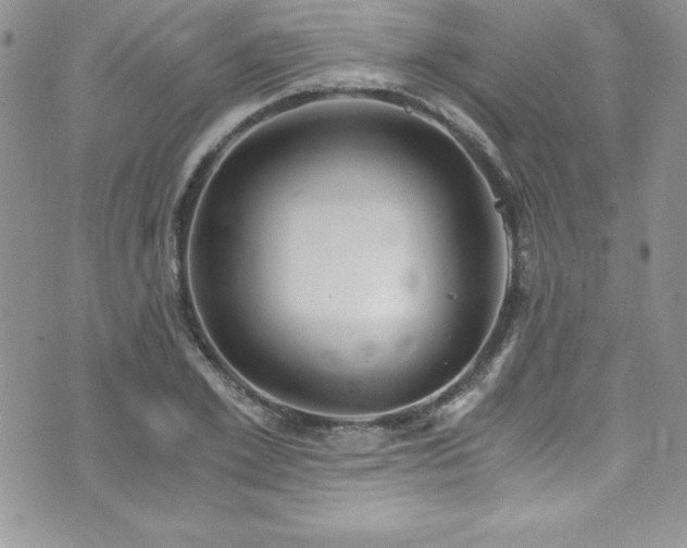 X0000073860981200608101246