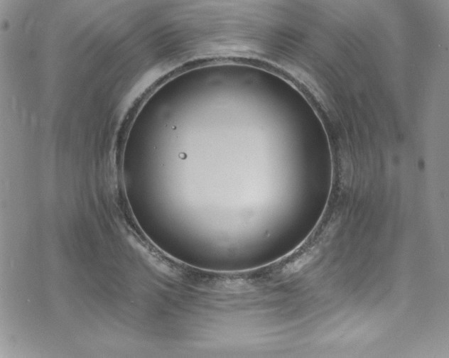 X0000073860982200608101246