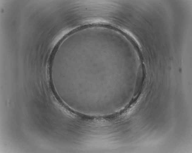 X0000073860983200608101246