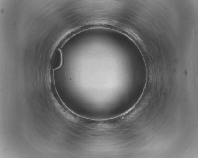 X0000073860984200608101246