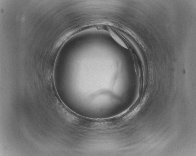 X0000073860985200608101246