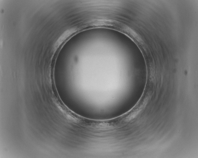 X0000073860986200608101246