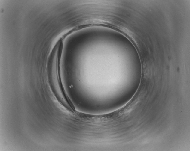 X0000073860987200608101246