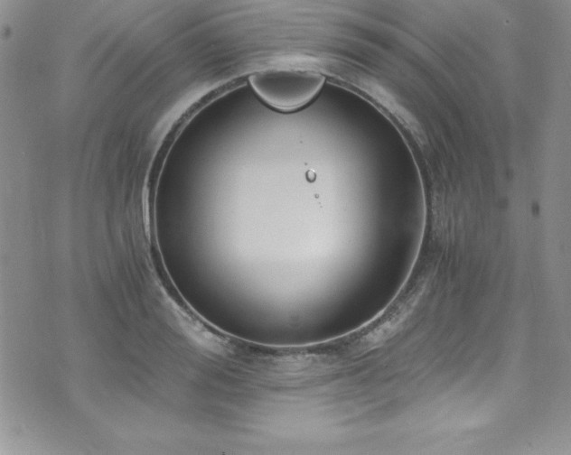 X0000073860988200608101246