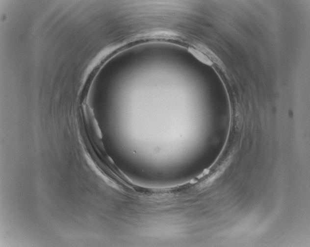 X0000073860989200608101246