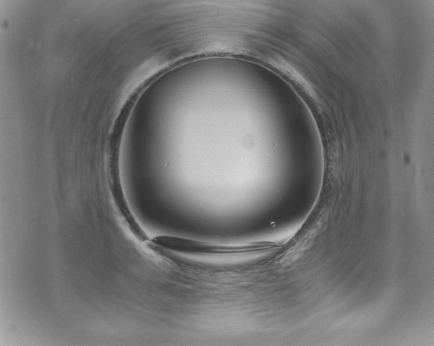 X0000073860991200608101246