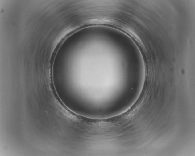 X0000073860992200608101246