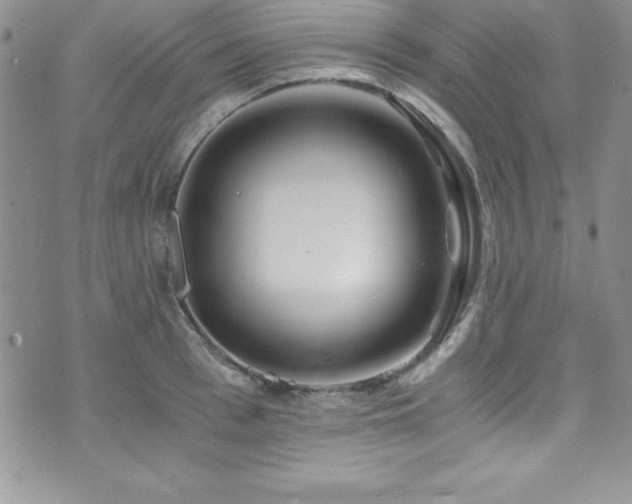 X0000073860993200608101246