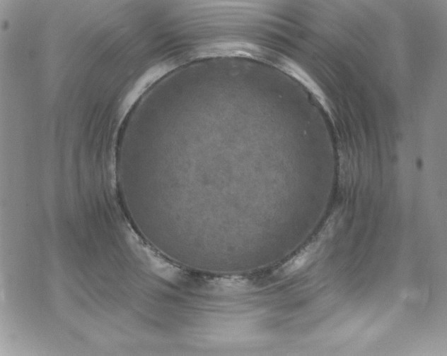 X0000073860994200608101246