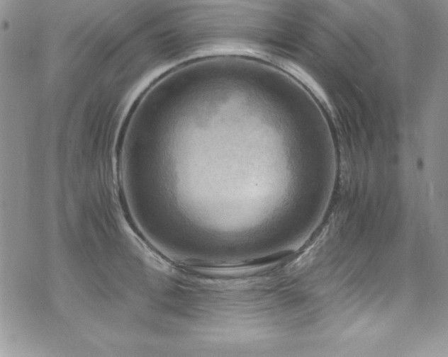 X0000073860996200608101246