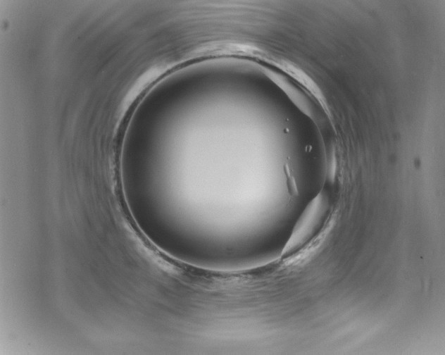 X0000073860997200608101246