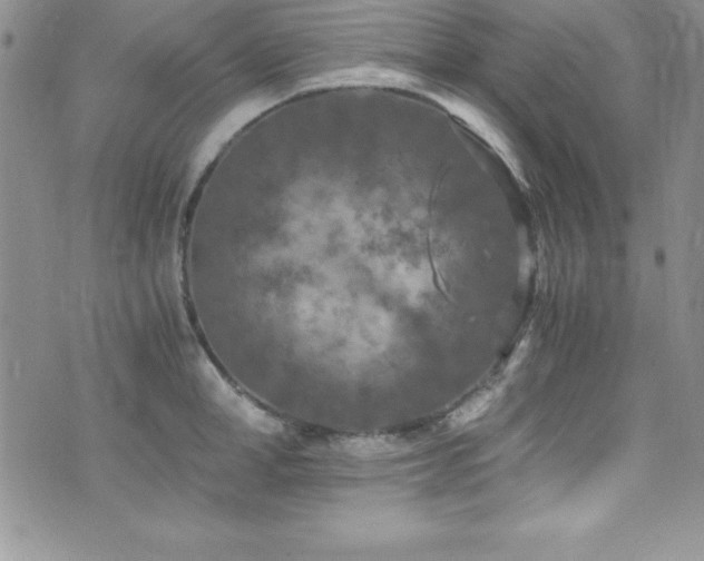 X0000073860998200608101246