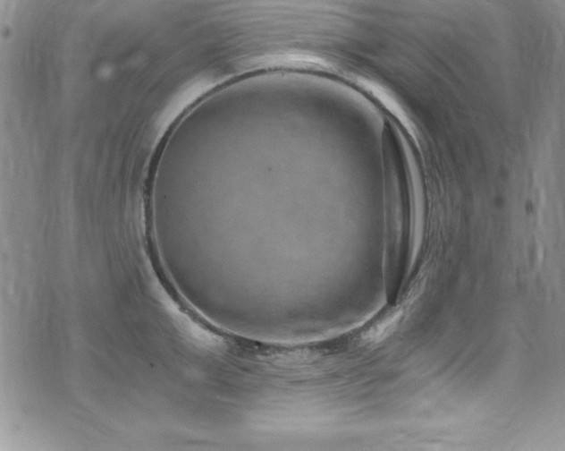 X0000073860999200608101246