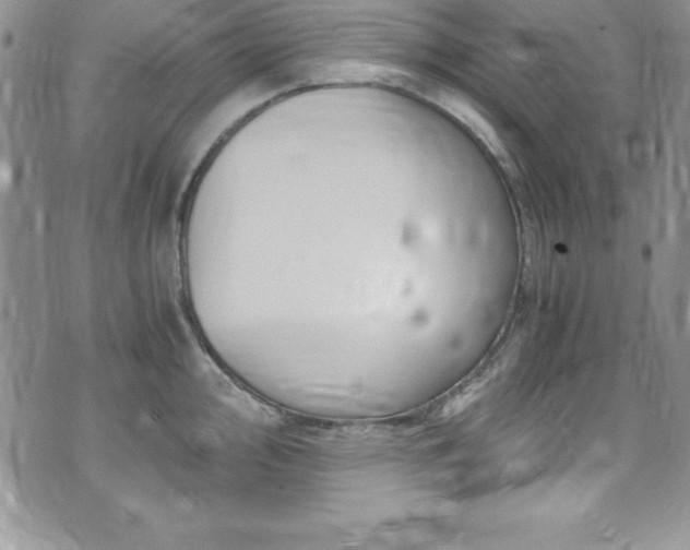 X0000073861000200608101246