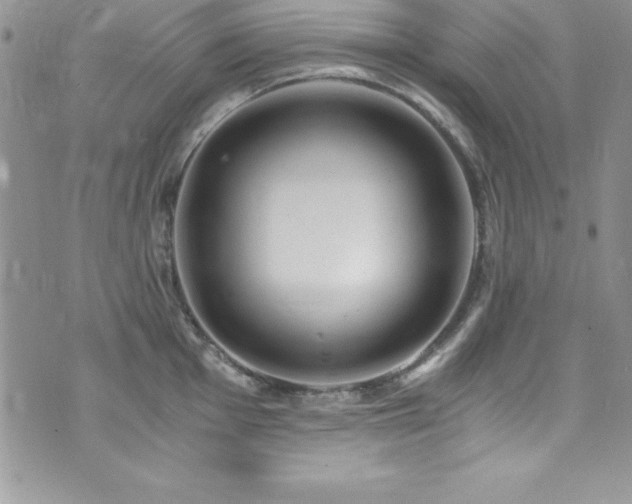 X0000073861001200608101246