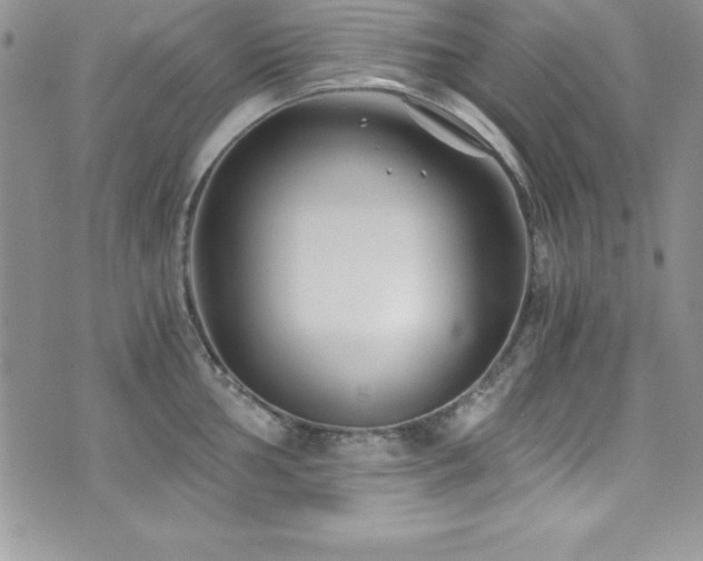 X0000073861002200608101246