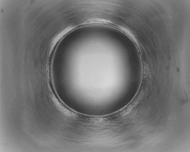 X0000073861003200608101246