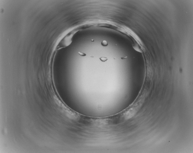 X0000073861004200608101246