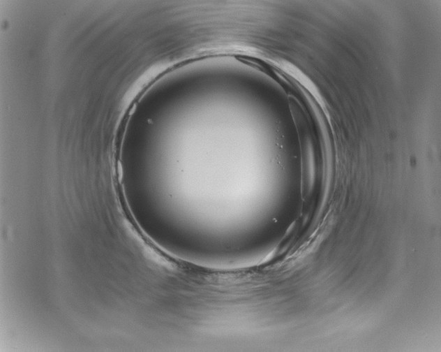 X0000073861005200608101246