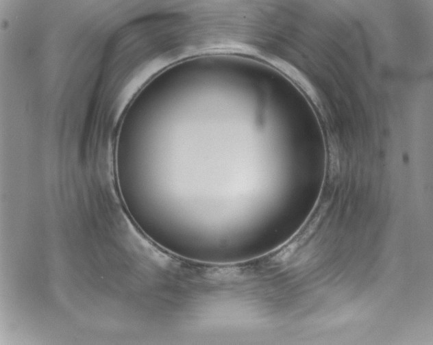 X0000073861006200608101246