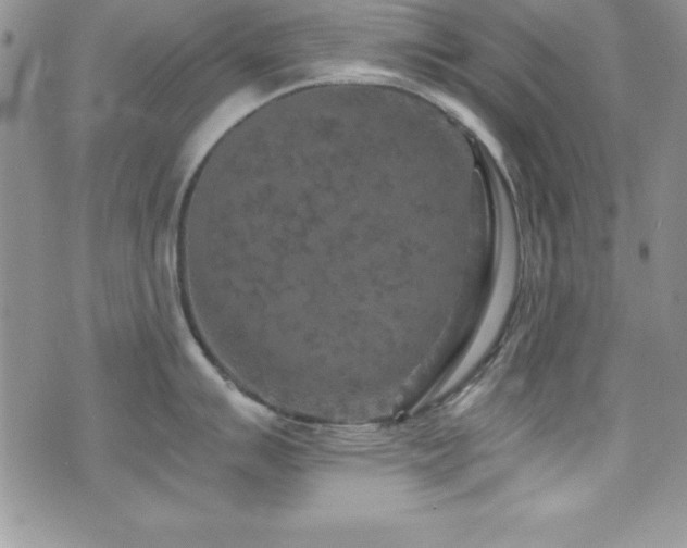 X0000073861007200608101246