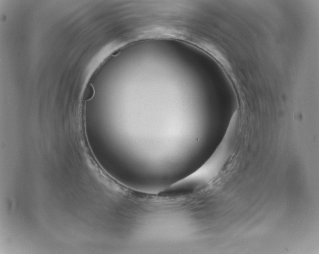 X0000073861008200608101246