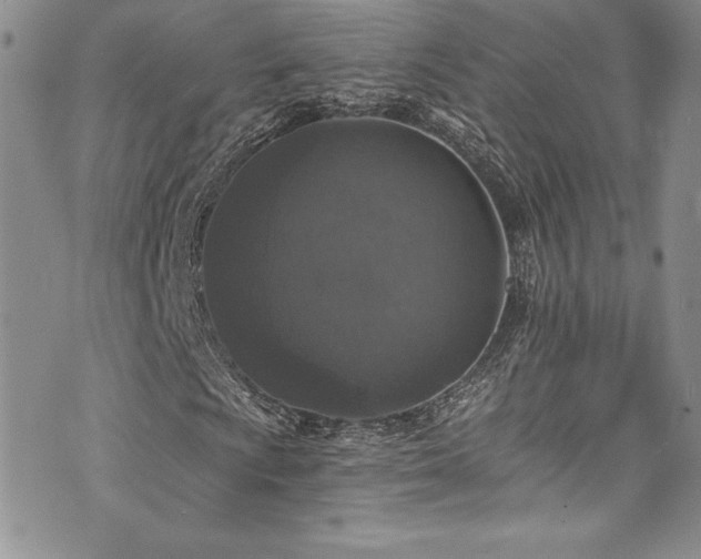 X0000073861009200608101245