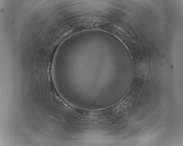 X0000073861013200608101245