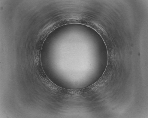 X0000073861015200608101245