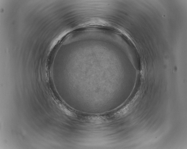 X0000073861018200608101245