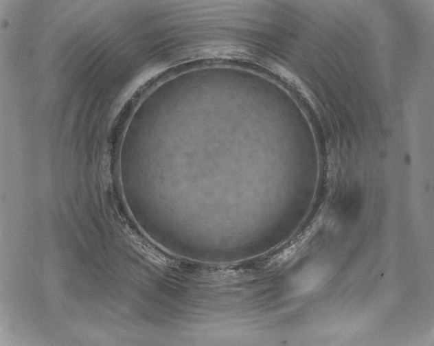 X0000073861019200608101245