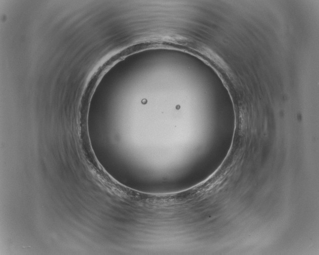 X0000073861020200608101245