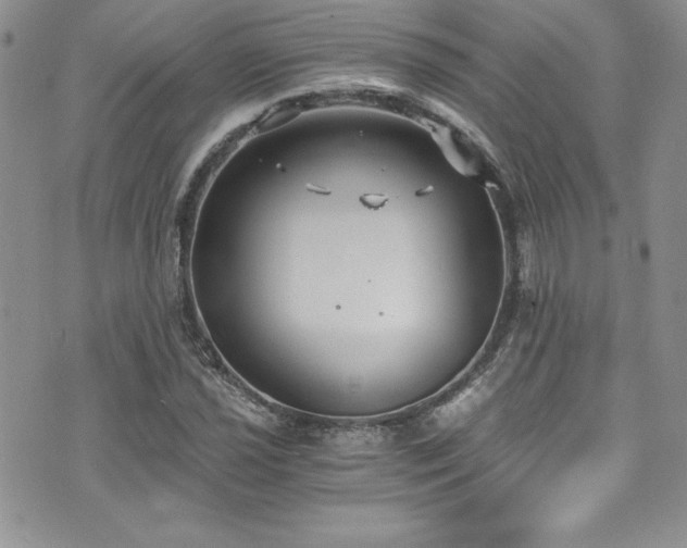 X0000073861021200608101245