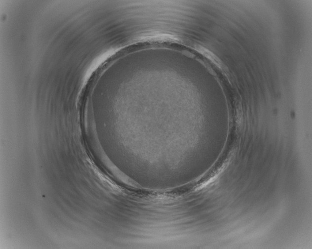 X0000073861022200608101245