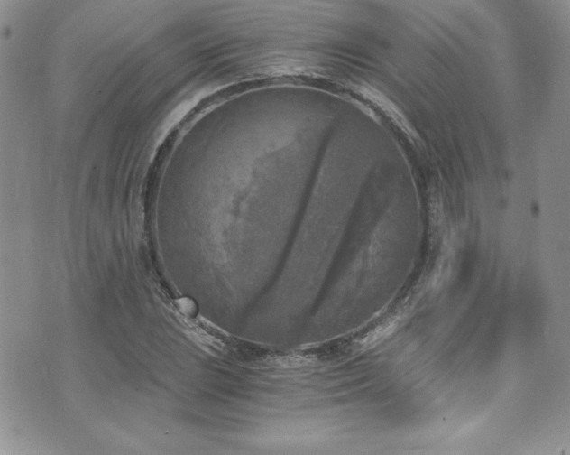 X0000073861023200608101245