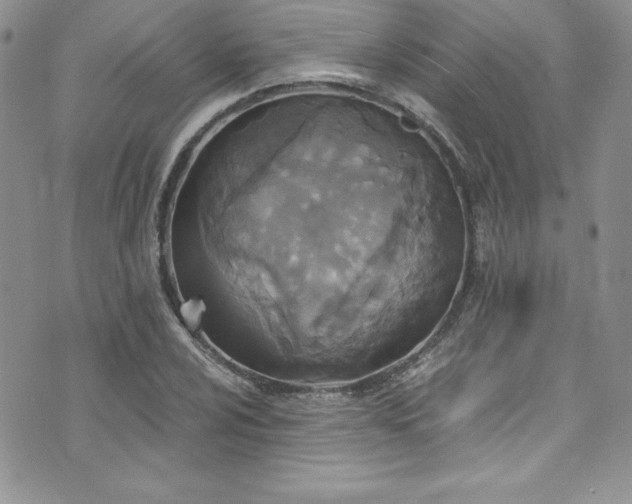 X0000073861024200608101245