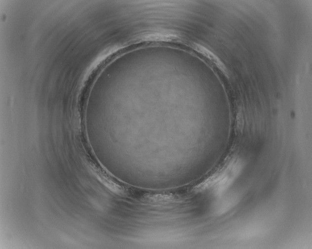 X0000073861027200608101245