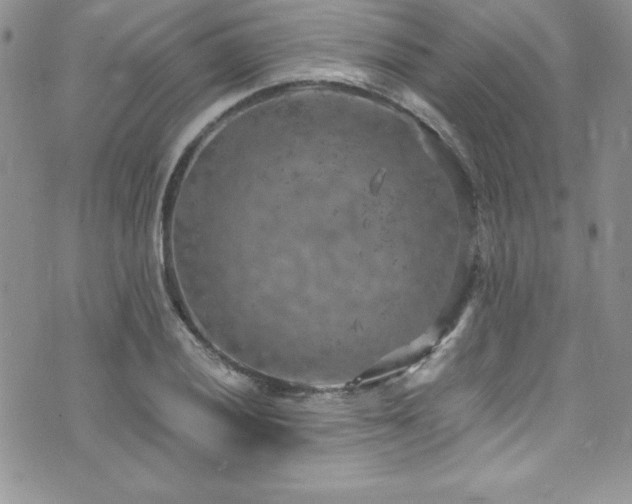 X0000073861028200608101245