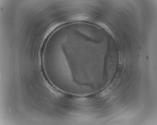 X0000073861031200608101245