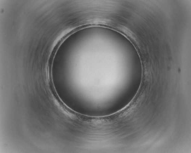 X0000073861032200608101245