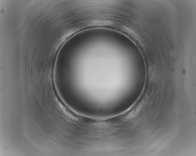 X0000073861033200608101245