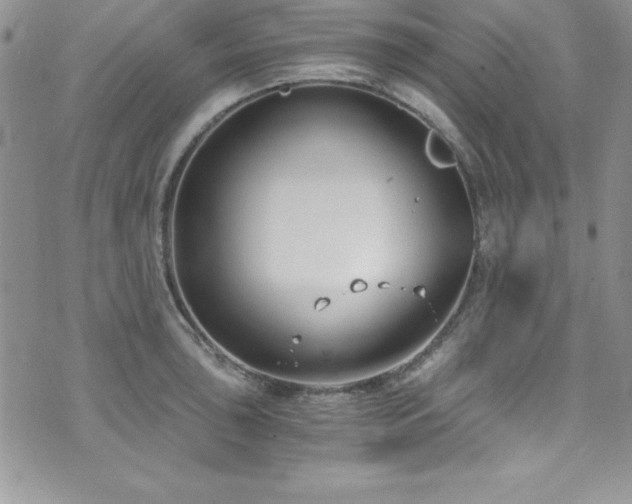 X0000073861043200608101245