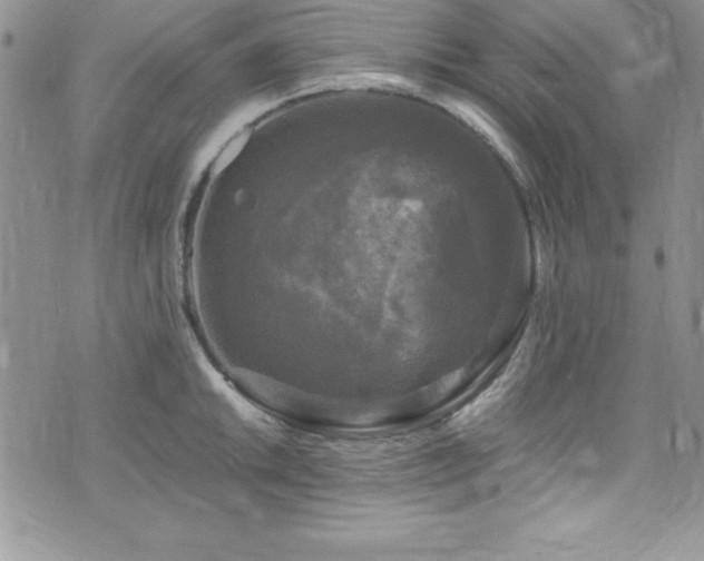 X0000073861046200608101245