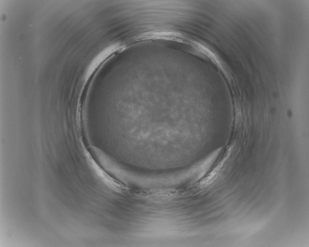 X0000073861050200608101245