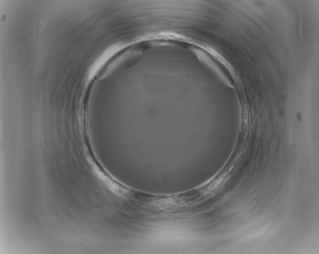 X0000073861054200608101245